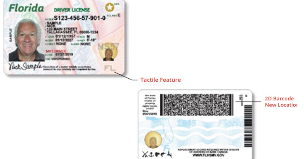 Florida drivers license lookup platformmaz