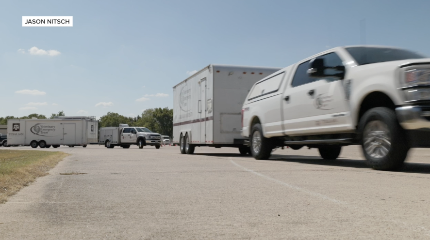 Texas A&M's Veterinary Emergency Team to receive $5 million in funding from State of Texas