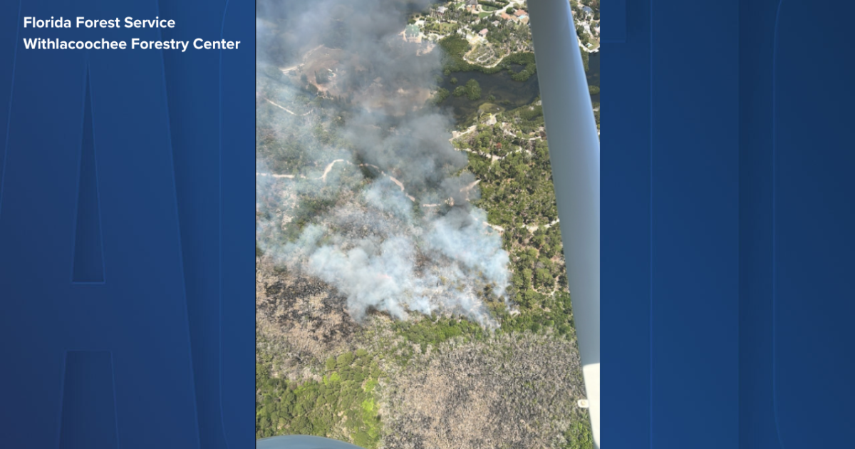 40-acre wildfire in Key Vista Park in Pasco County is 50 percent contained