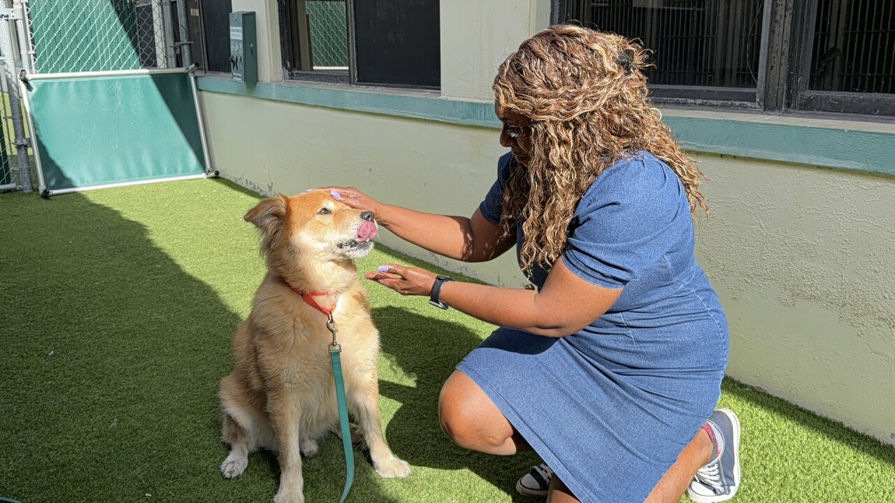 Tania Rogers and Cutler Underdog