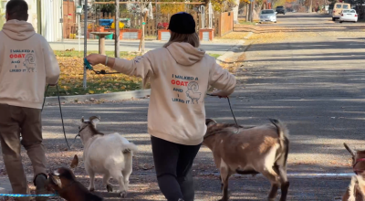 Goat walking 1.png