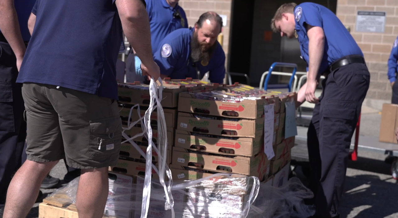 Screenshot 2026-03-27 160124.png