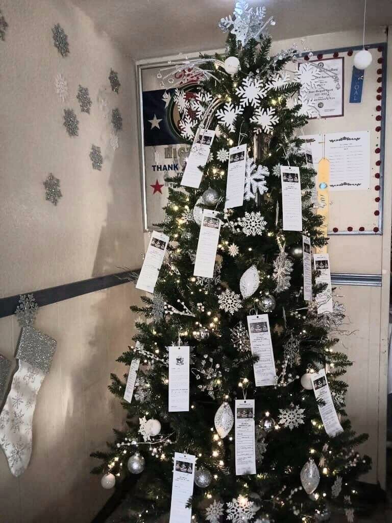This is what one of the organization's trees looked like this year, you can see some cards that have been filled out hanging from the tree.