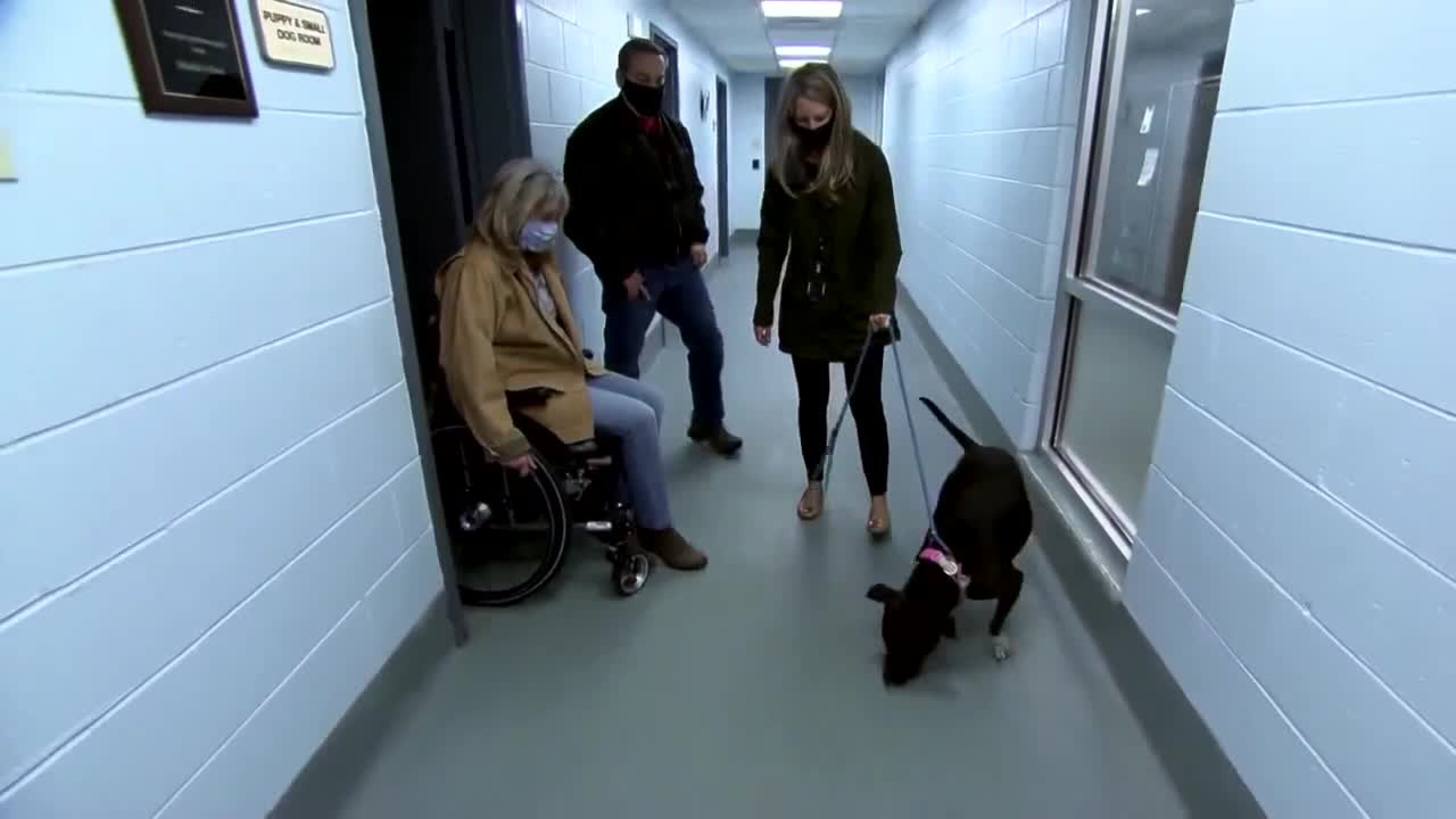 Animal shelter pairs pets with families for Thanksgiving