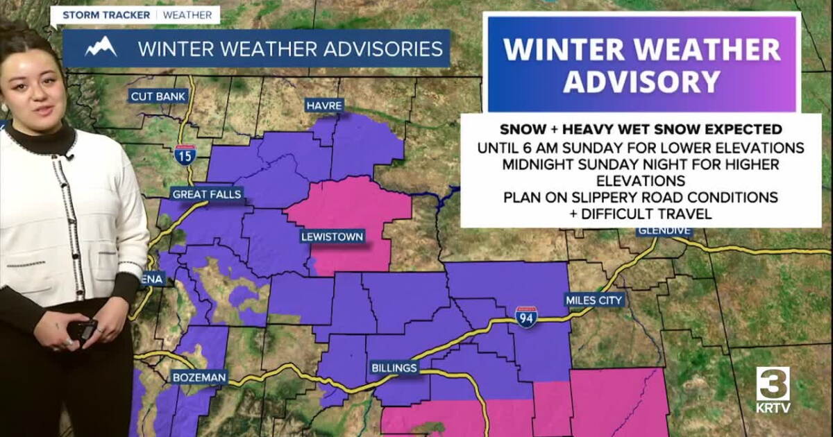 Heavy, wet snow impacting the region - Vimarsana News