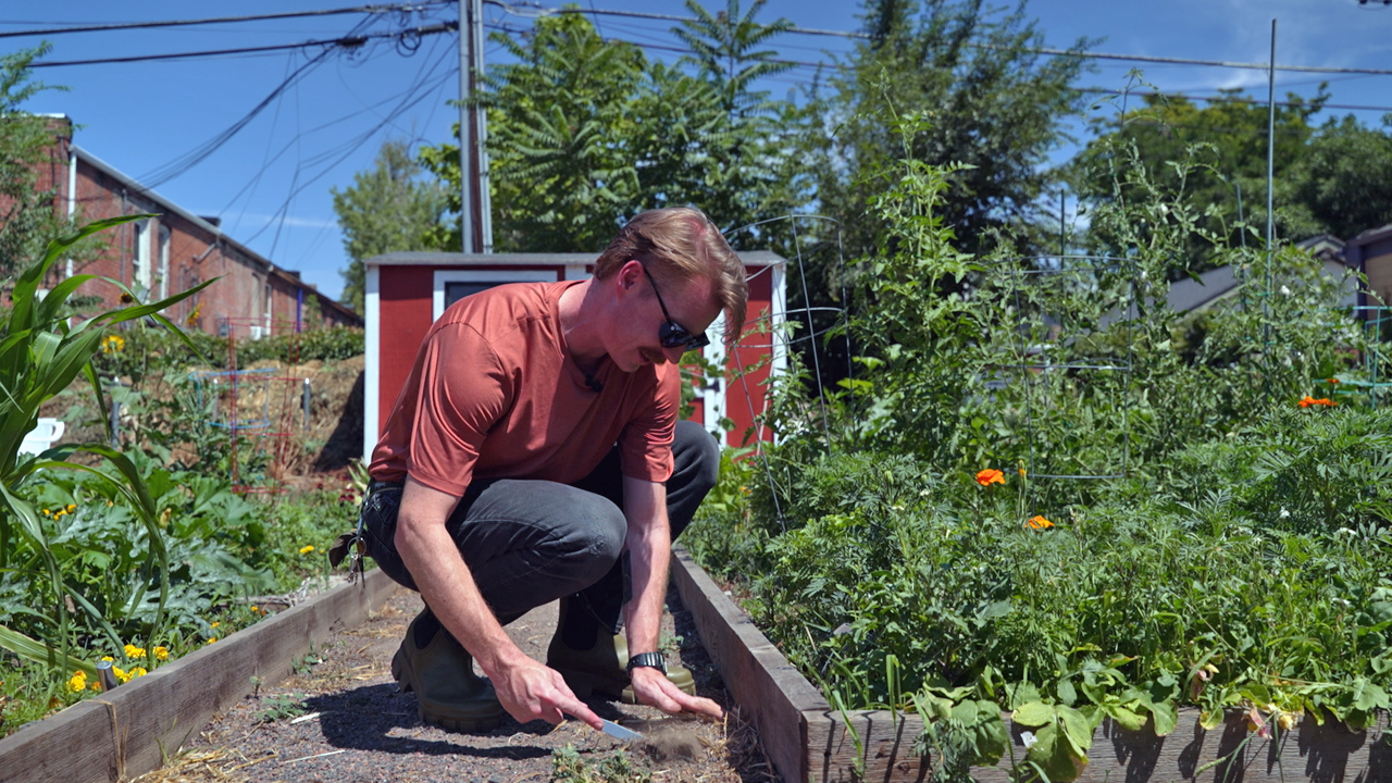 garden2.png
