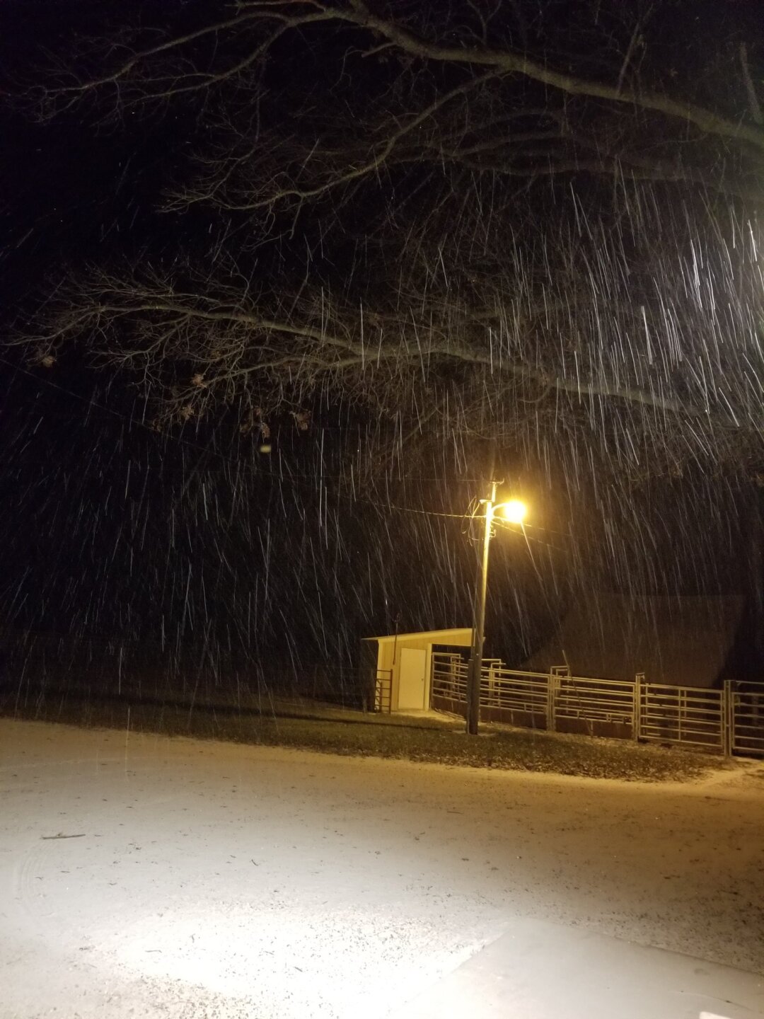 Clinton Snow.jpg