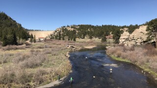 fly fishing elevenmile canyon