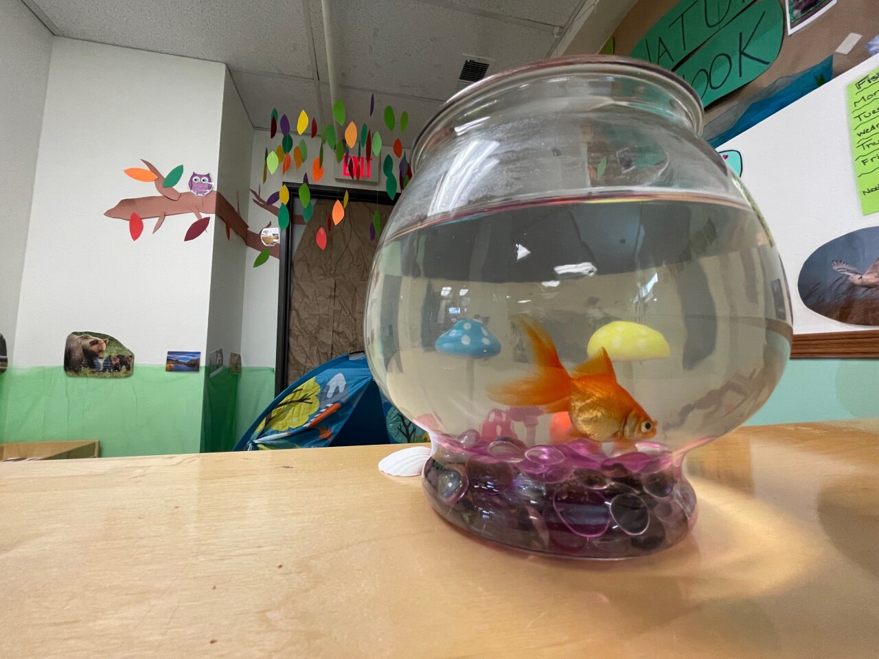 Florence Crittenton Project Sunshine