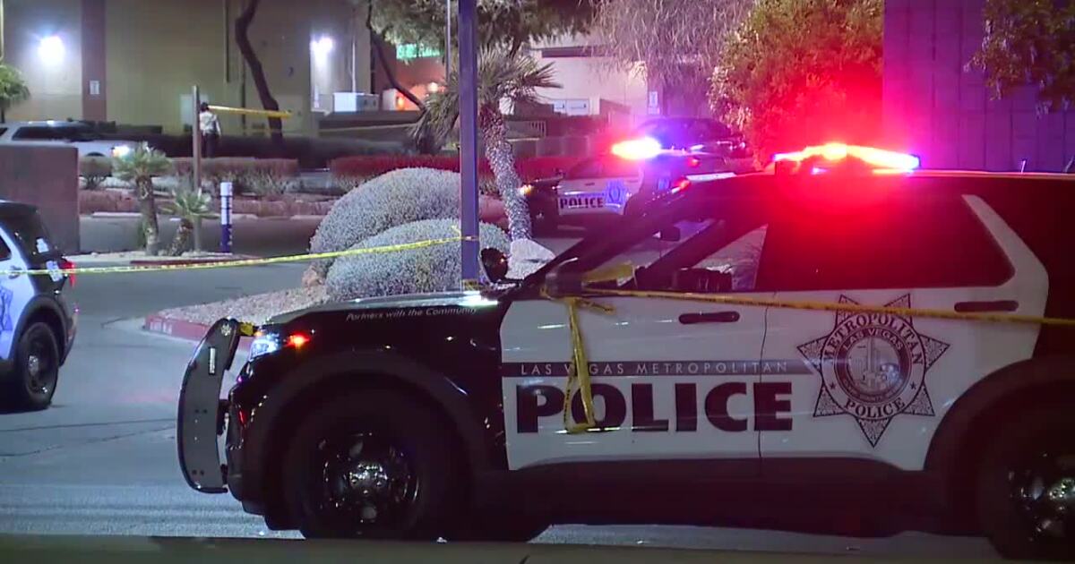 Police: Argument leads to fatal stabbing near Lake Mead and Buffalo