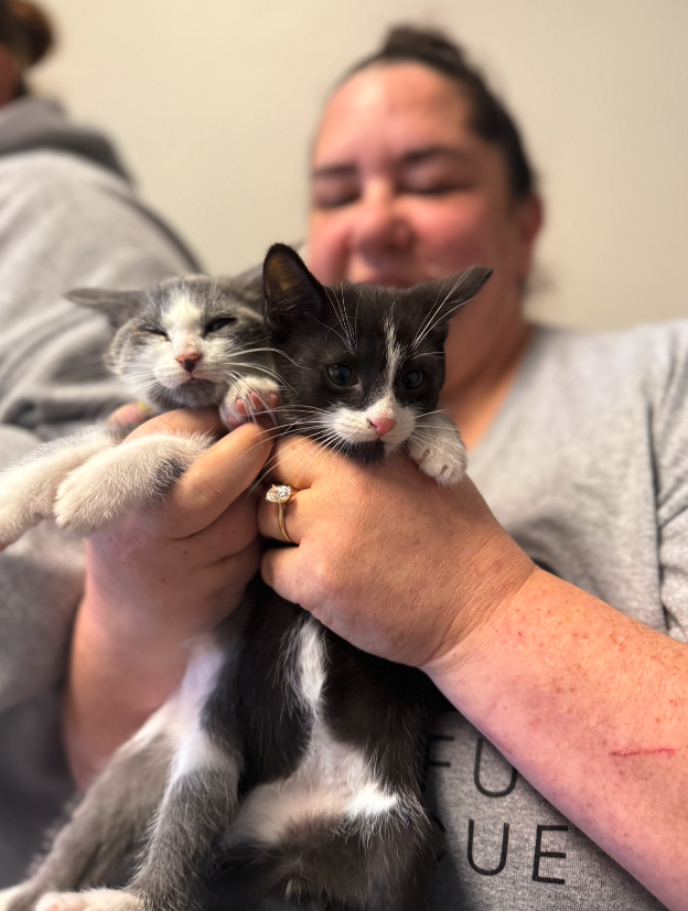 Screenshot 2026-04-02 at 1.26.58 PM.png