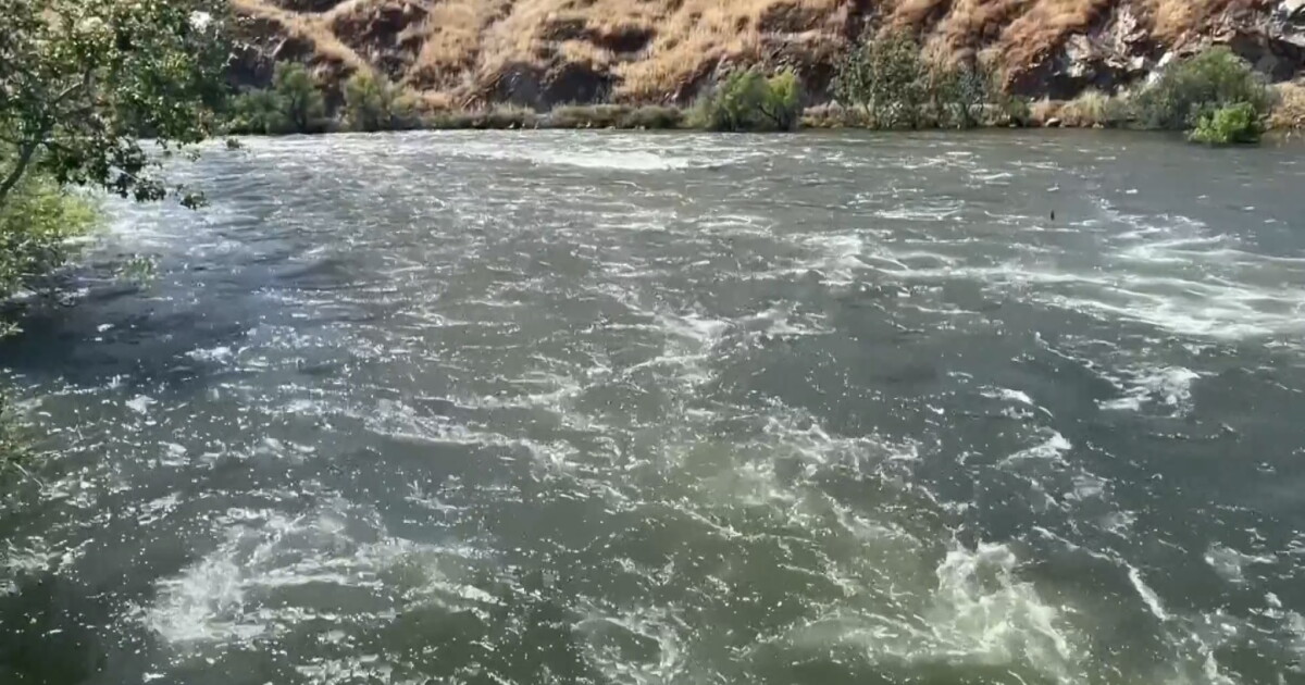 Missing 4-year-old boy's body found in surging California river - Vimarsana News