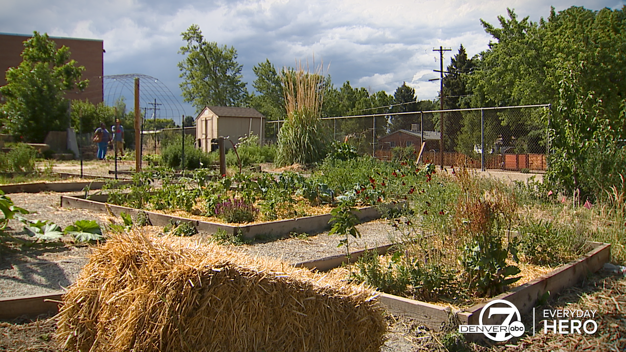 doull food forest.png