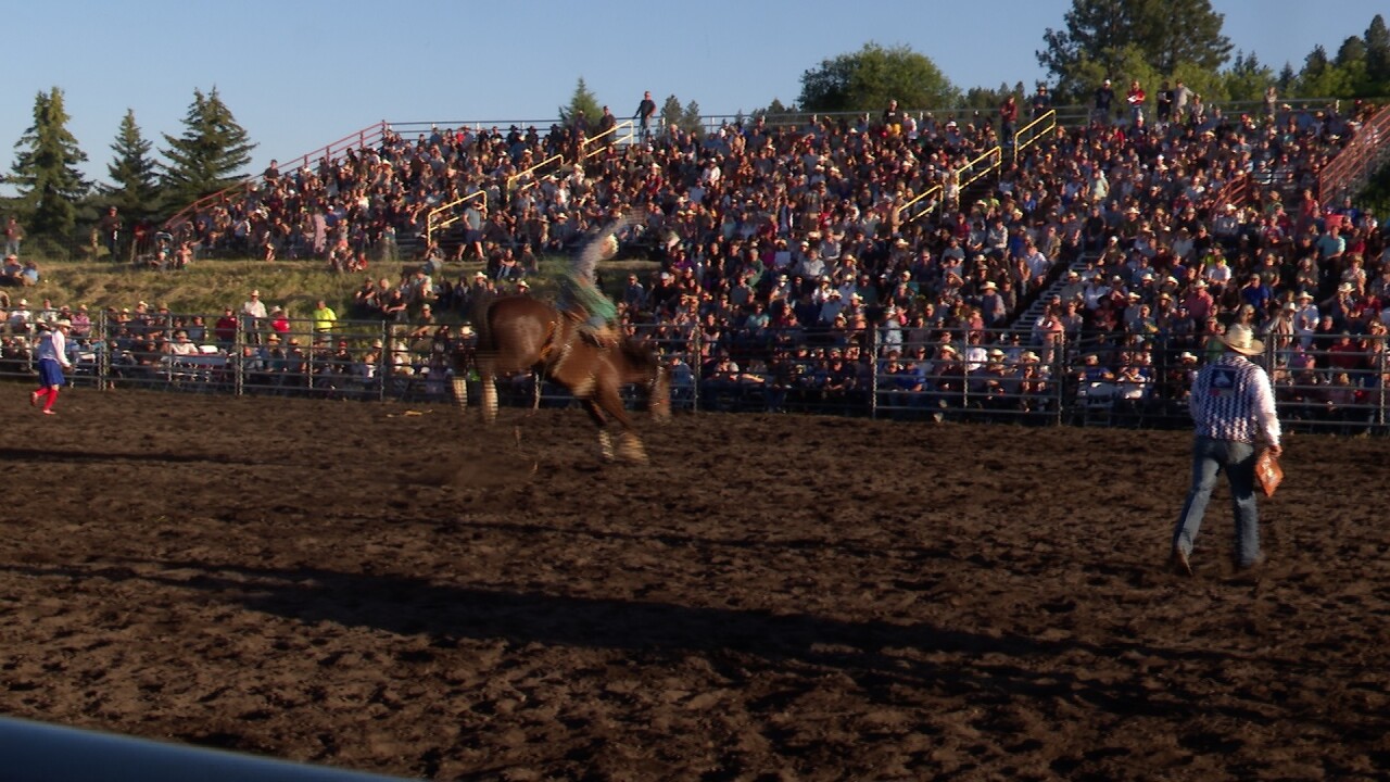 Bigfork Rodeo.jpg