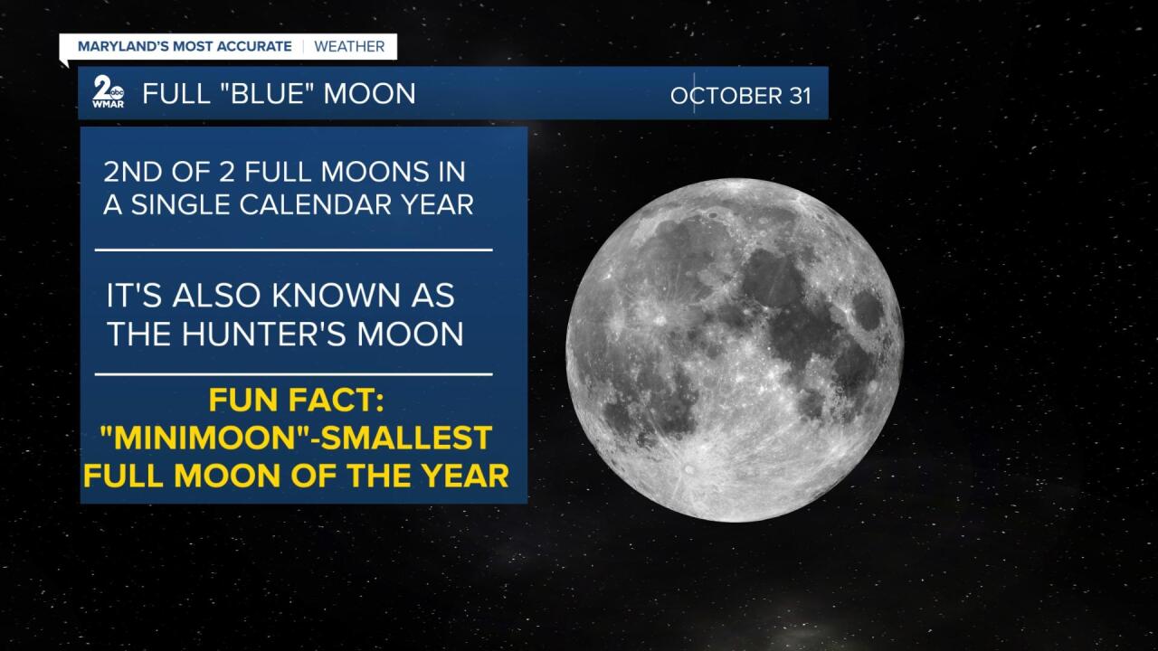 Blue Moon.jpg