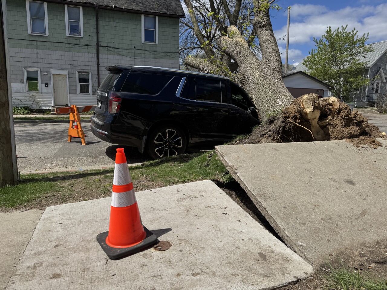 Tree on top of SUV