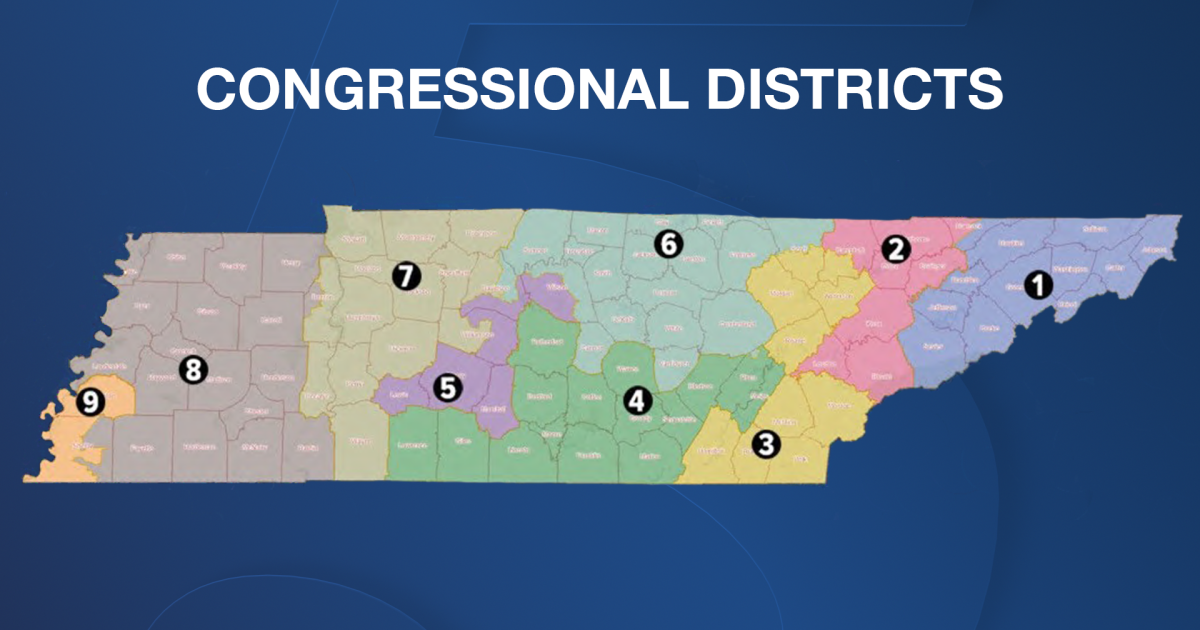 TN Election Day information sites, candidates, timelines