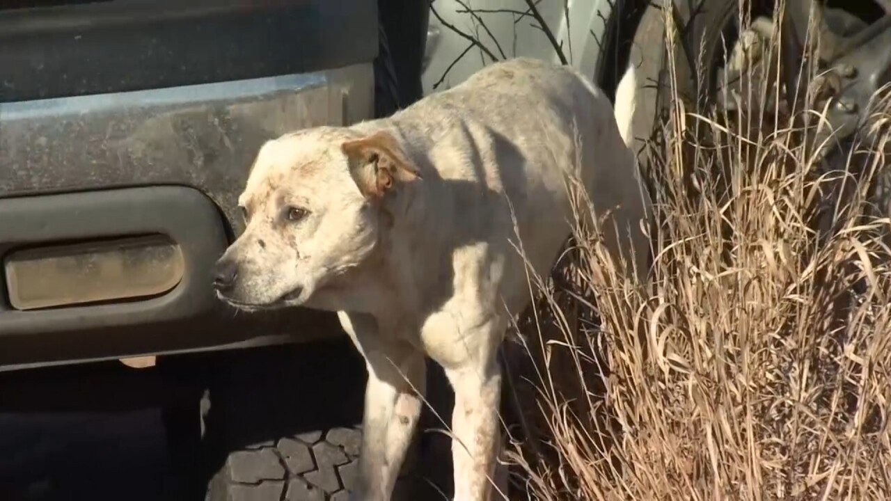 Still 2025-11-13 171932_2.1.1.jpg