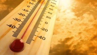 WARM