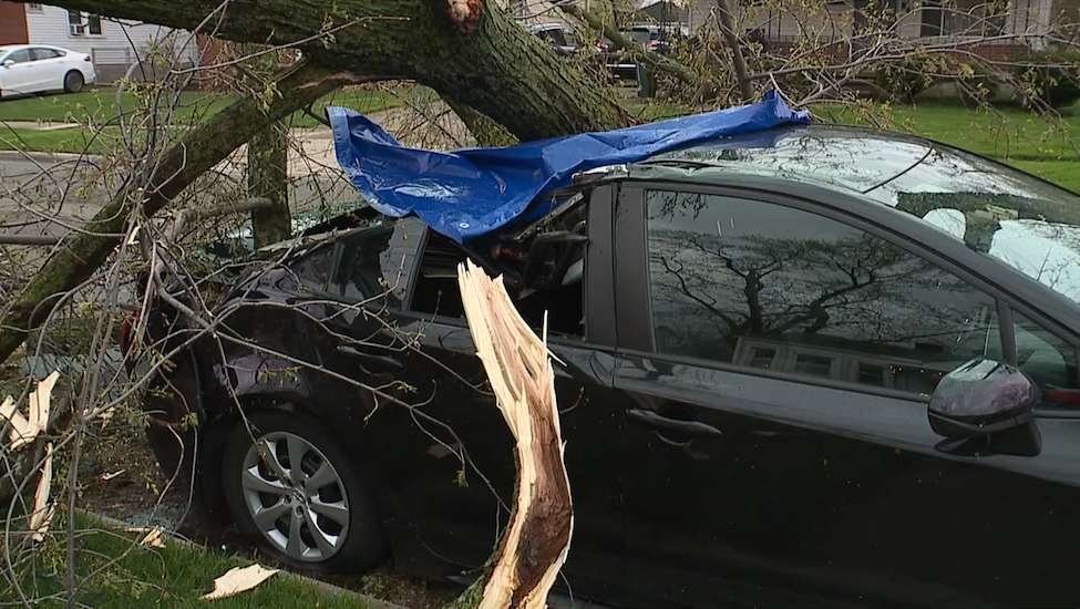 Ferndale storm damage