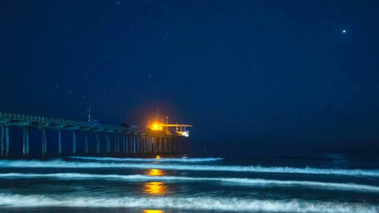 Red Tide Creates Eerie Neon Glow Along San Diego Coastline