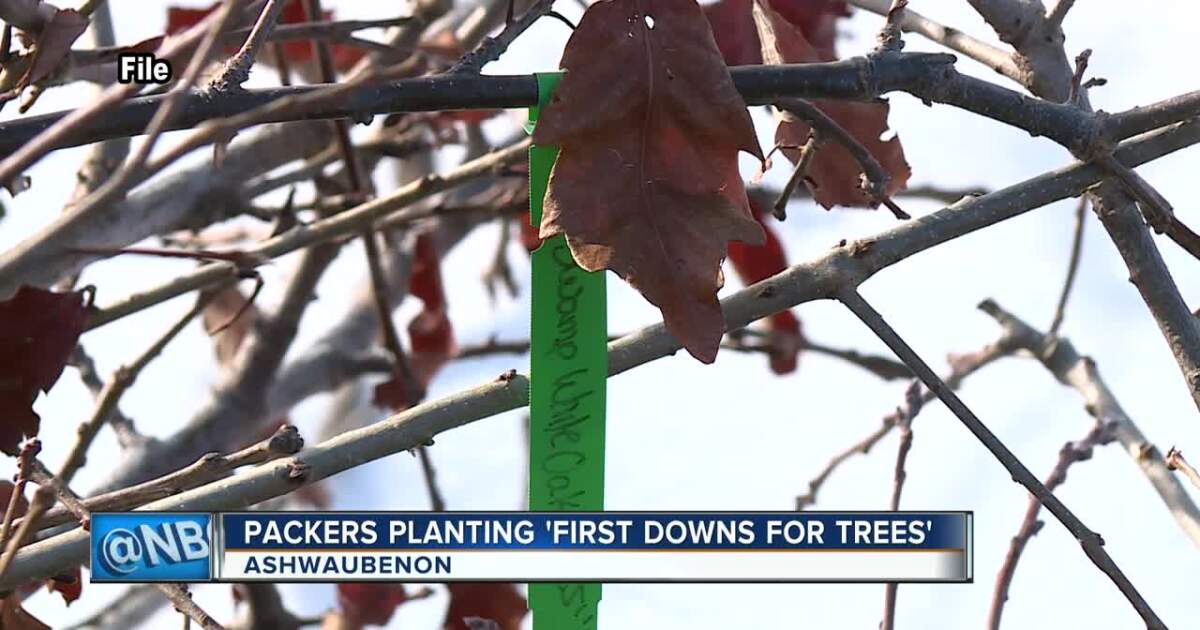 Green Bay Packers plant more than 400 trees for 'First Downs for Trees ...