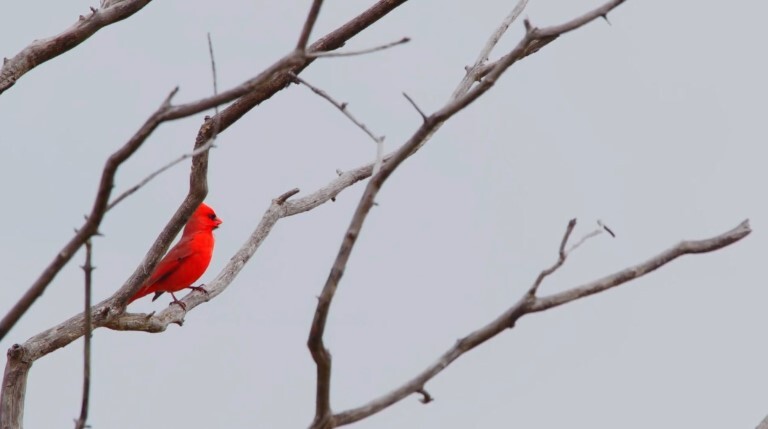 Screenshot 2025-11-13 111354.jpg