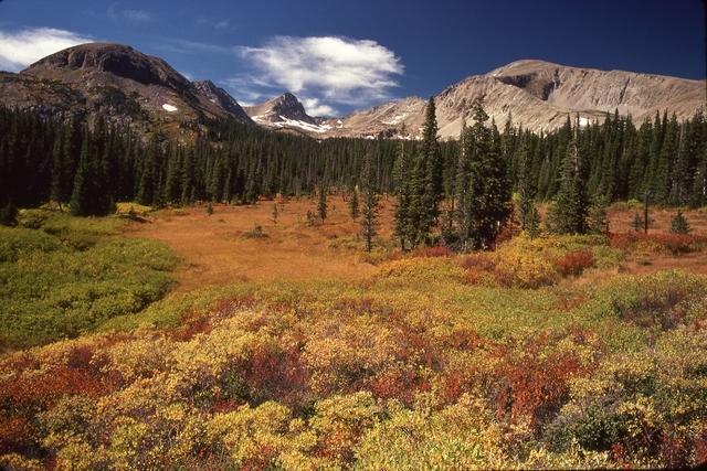 Human remains found in the Brainard Lake Recreation Area