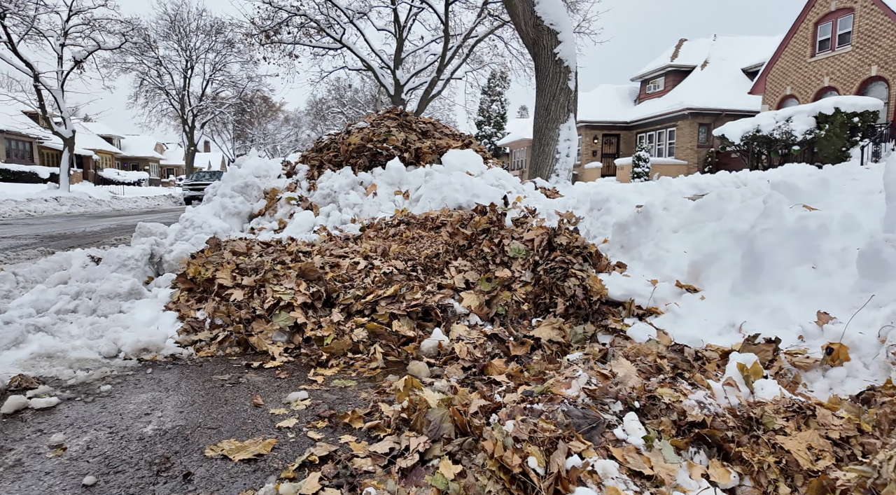 Piles of leaves left on a block in the Rufus King beighborhood for weeks have become a hazard after this weekend's storm acording to neighbors
