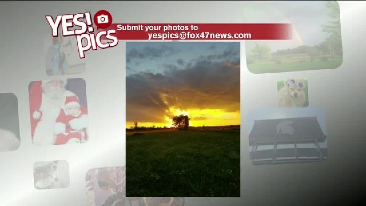 Yes! Pics: 10/11/18