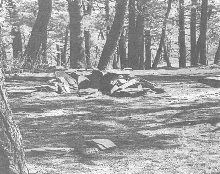 Alexander Mountain Fire fire ring