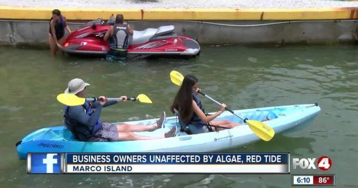 Few traces of red tide on Marco Island