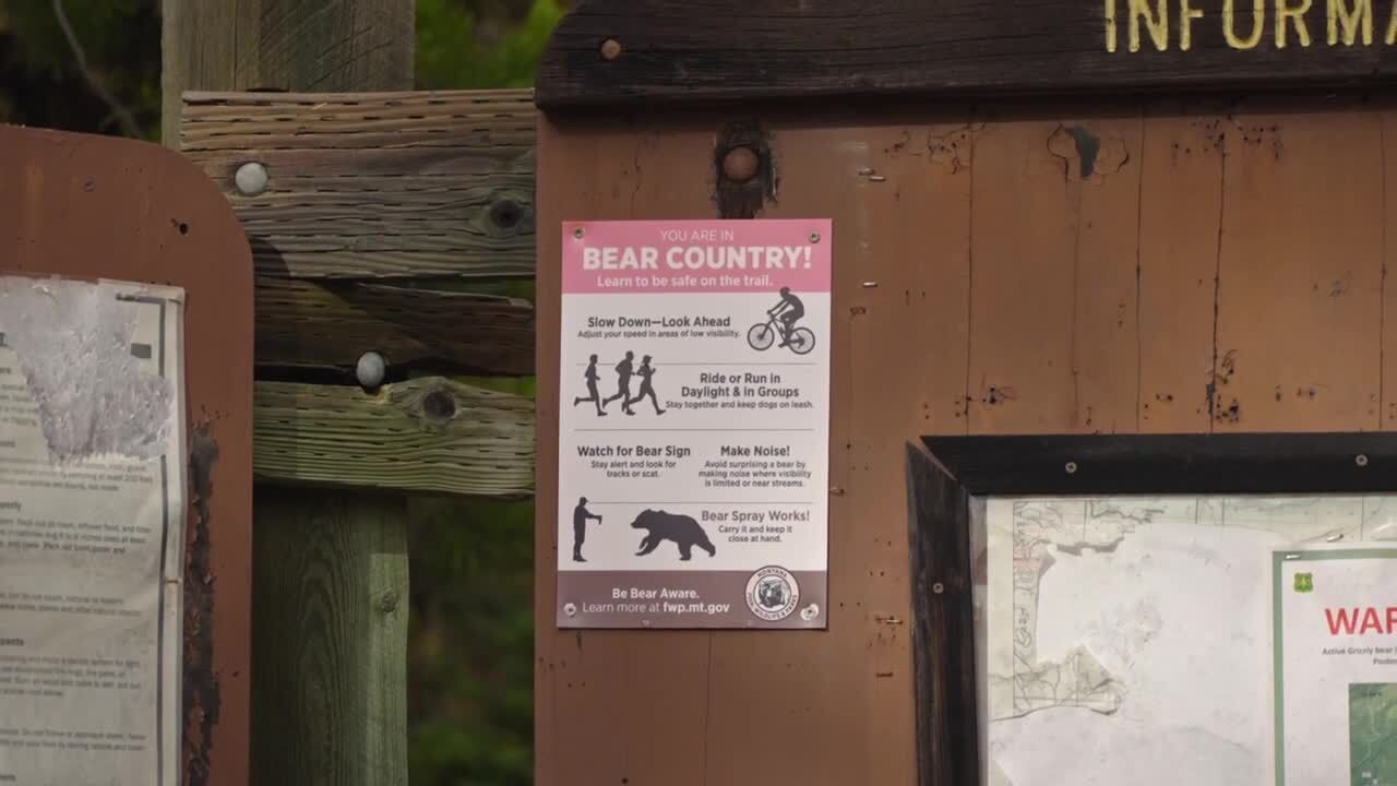 Bear Country poster