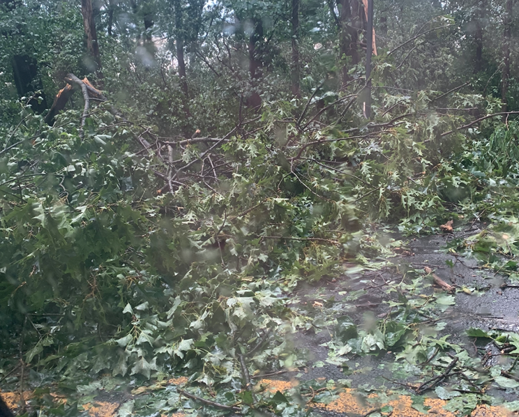 Screen Shot 2022-07-12 at 6.21.52 PM.png