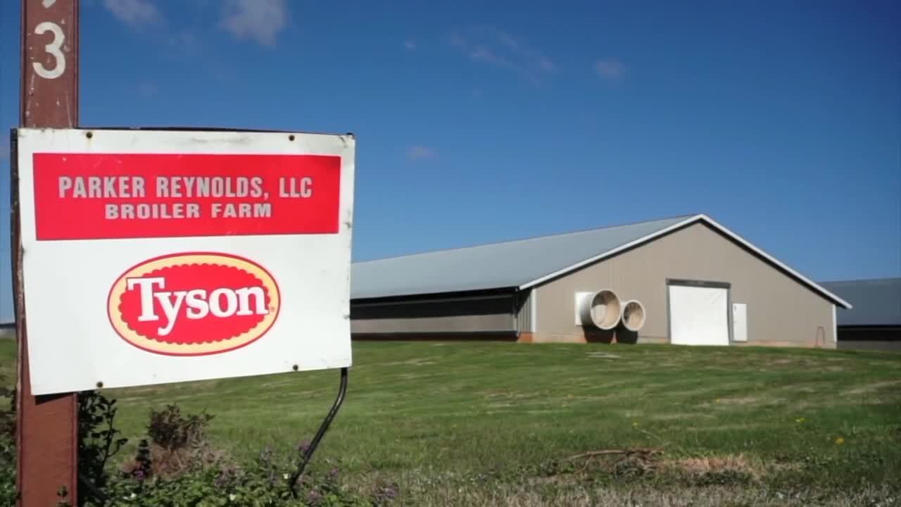 Tyson Foods Chicken Plant Closure