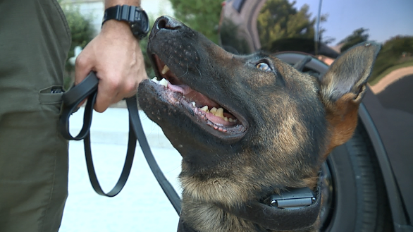 Screenshot 2024-07-09 at 6.03.18 PM.png