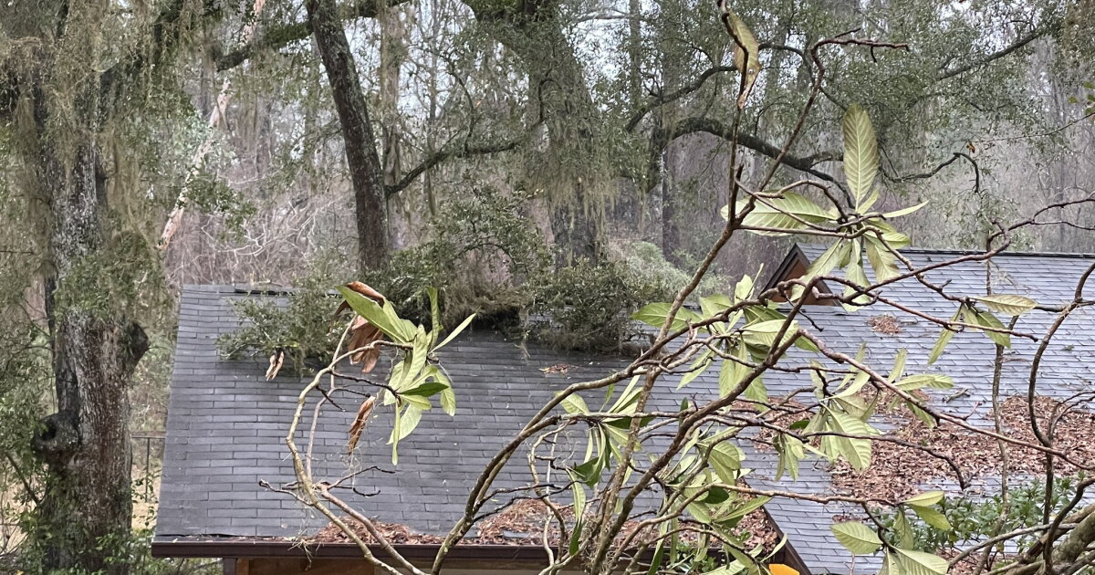 Survey confirmed tornado in Liberty County; storm damage in Leon County