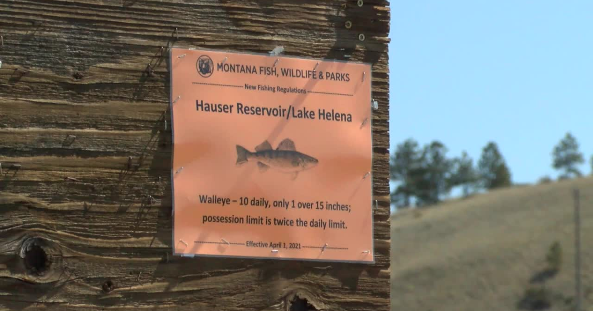 FWP makes changes to walleye fishing regulations