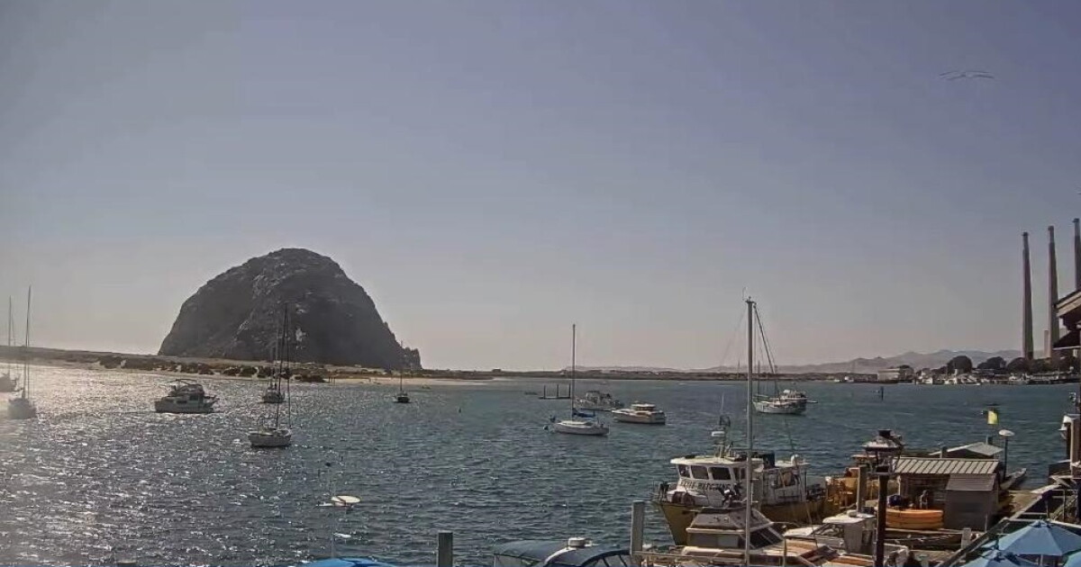 Weekend is bringing in warmer temperatures and breezy conditions - Vimarsana News