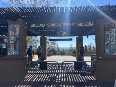 AZ SONORA DESERT MUSEUM