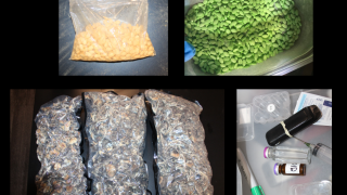 Untitled design (1).png