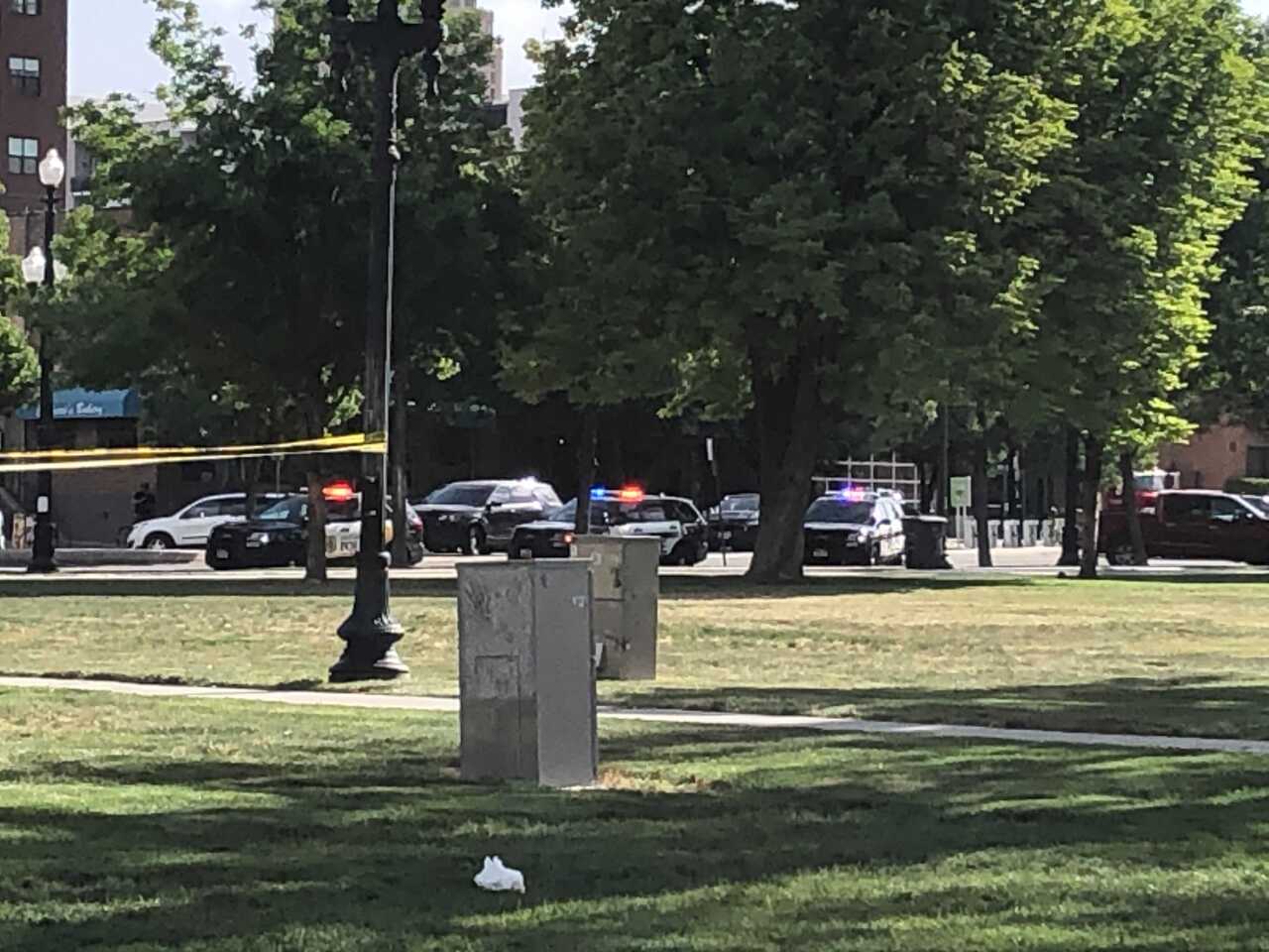 Pioneer Park Incident
