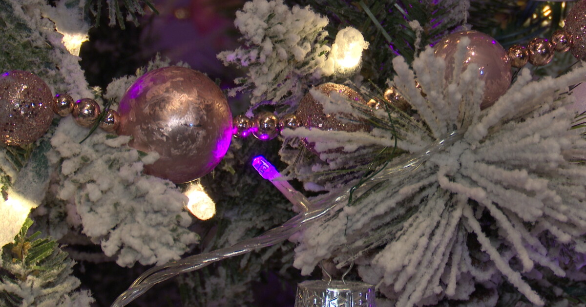 Project Christmas Miracle: Billings nonprofit gifts trees to 110 families - Vimarsana News