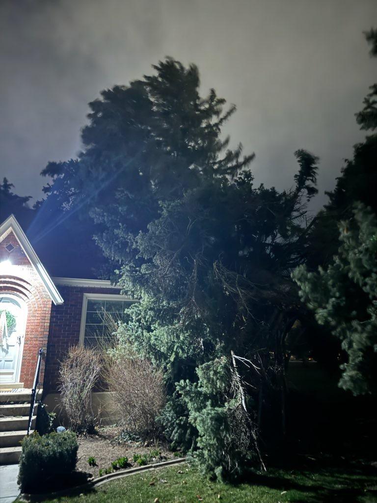 Jason Watson Steele pic.jpg