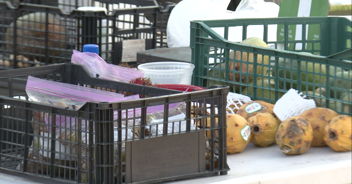 Join the Southside Farmers Market: A Community Solution to Food Insecurity in Tallahassee Join the Southside Farmers Market: A Community Solution to Food Insecurity in Tallahassee