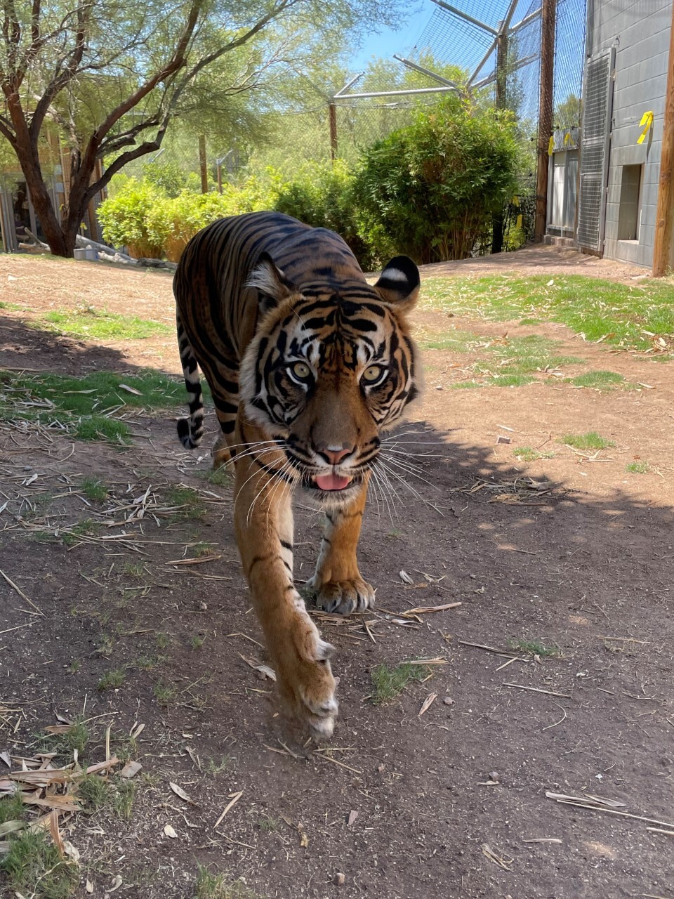 Joanne from Carl.jpg