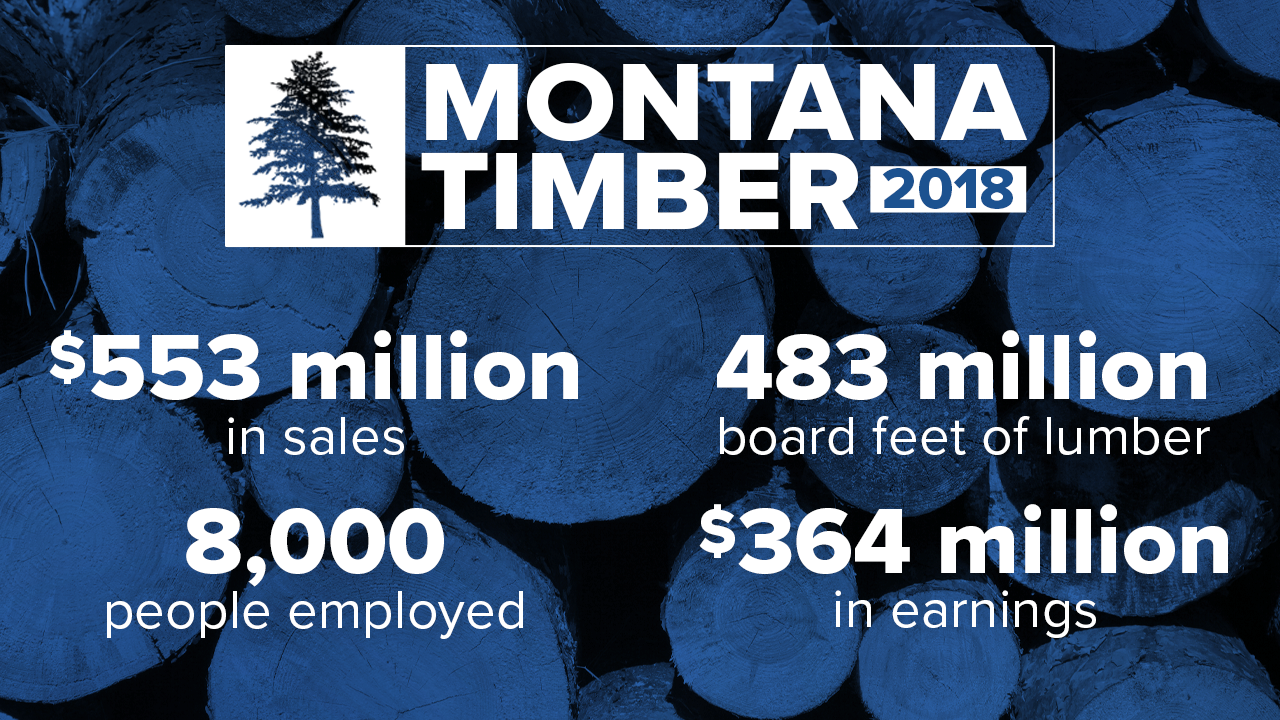 Montana Timber in 2018