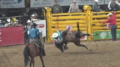 Horse Falls on Cowboy