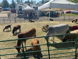 Hillsdale County Fair