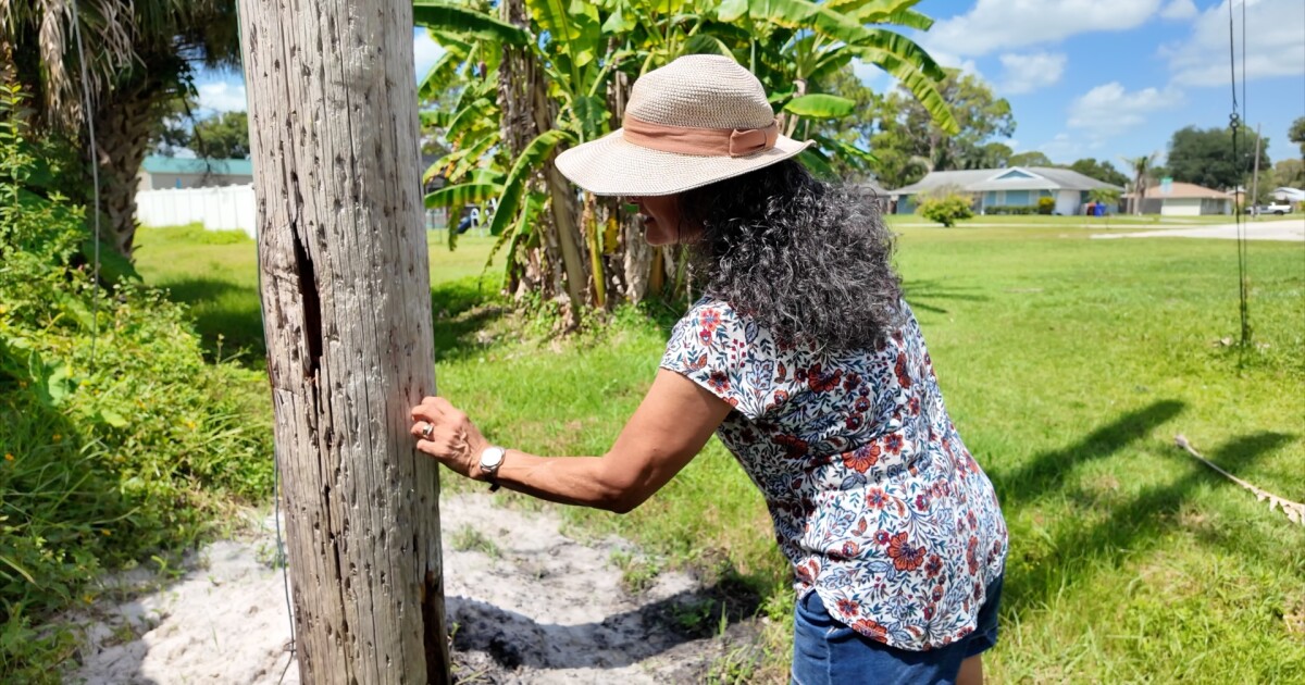 Vero Beach resident's plea leads AT&T to replace deteriorating utility pole